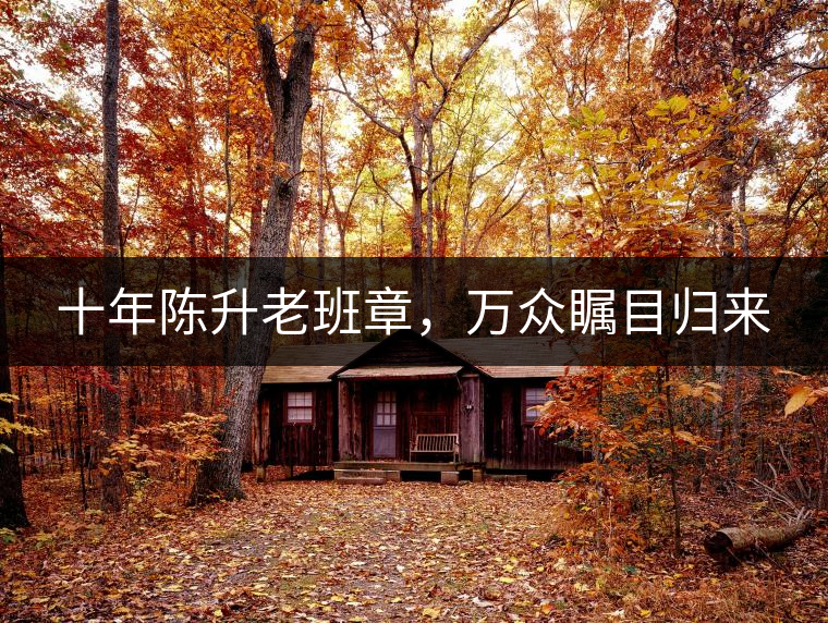 十年陳升老班章，萬眾矚目歸來