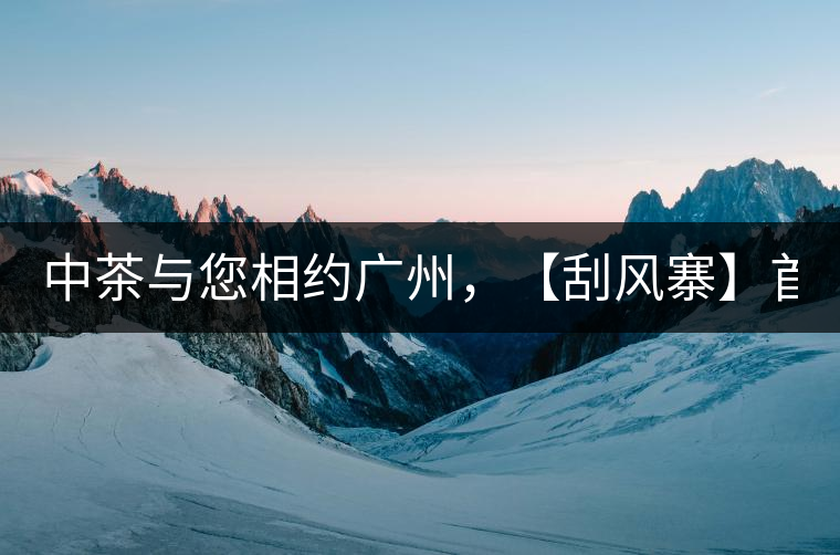 中茶與您相約廣州，【刮風(fēng)寨】首次亮相！