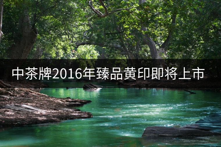 中茶牌2016年臻品黃印即將上市！