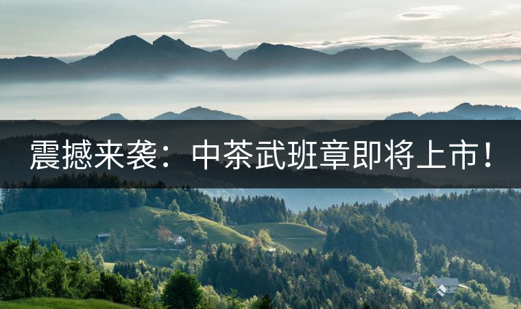 震撼來襲：中茶武班章即將上市！