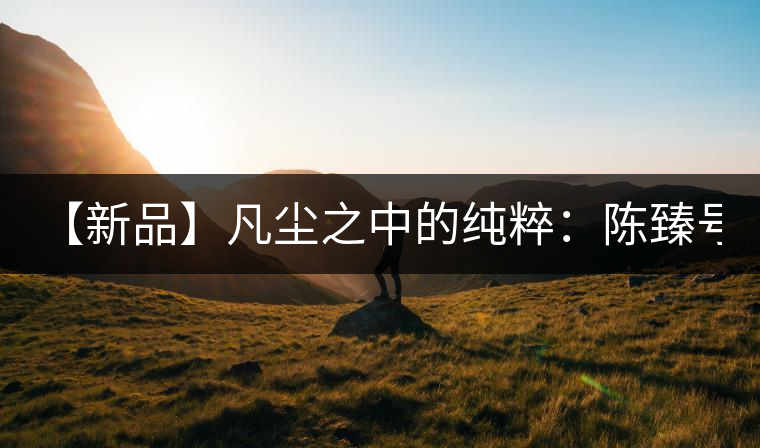 【新品】凡塵之中的純粹：陳臻號2016年精品青餅即將上市！