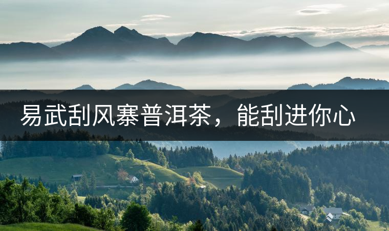 易武刮風(fēng)寨普洱茶，能刮進(jìn)你心中的一道風(fēng)