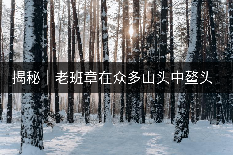 揭秘｜老班章在眾多山頭中鰲頭引領的原因