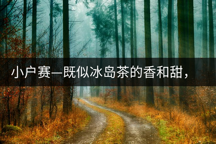 小戶賽—既似冰島茶的香和甜，又有其獨特的純和凈