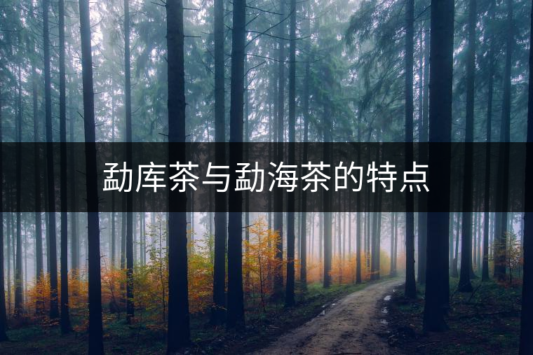 勐庫茶與勐海茶的特點(diǎn)