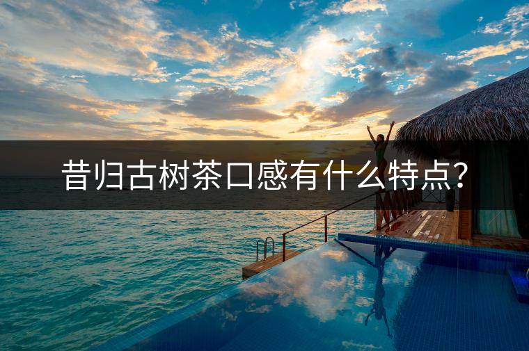 昔歸古樹茶口感有什么特點(diǎn)？