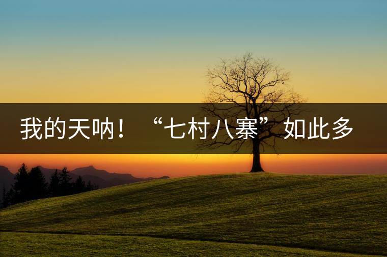 我的天吶！“七村八寨”如此多的易武茶，品質(zhì)特色如何分辨？