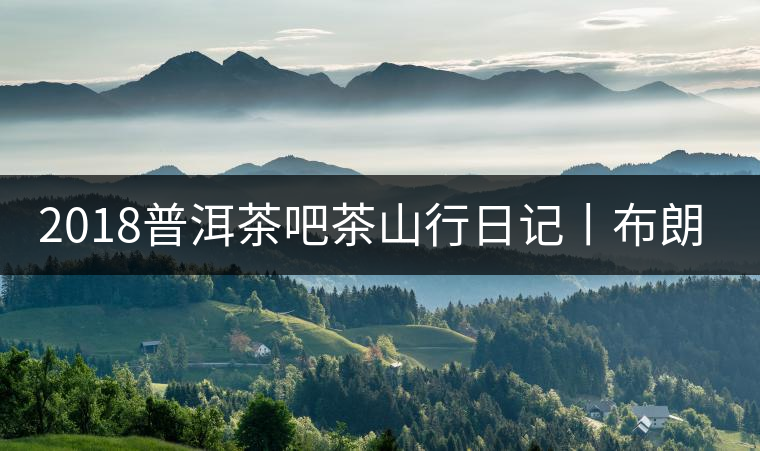 2018普洱茶吧茶山行日記丨布朗山帕點古茶園(二) 2018普洱茶吧茶山行日記丨布朗山帕點古茶園(二)