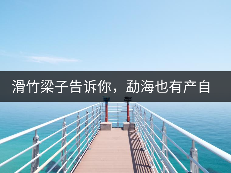 滑竹梁子告訴你，勐海也有產(chǎn)自國有林里的好茶！