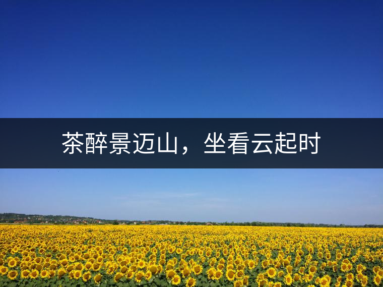 茶醉景邁山，坐看云起時