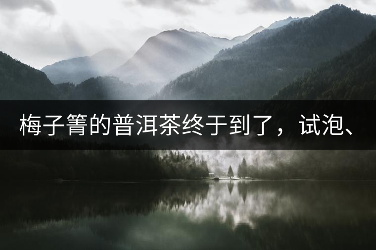 梅子箐的普洱茶終于到了，試泡、、、