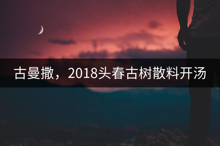 古曼撒，2018頭春古樹散料開湯