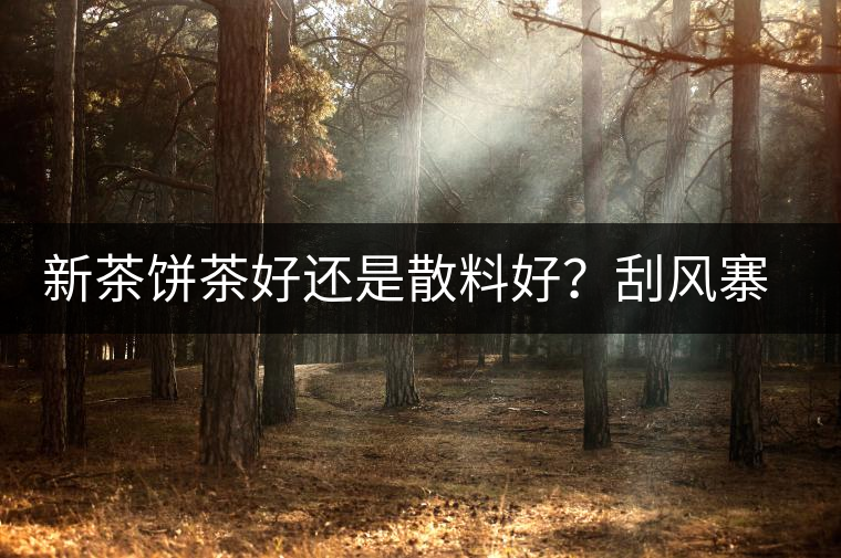 新茶餅茶好還是散料好？刮風(fēng)寨開湯評測