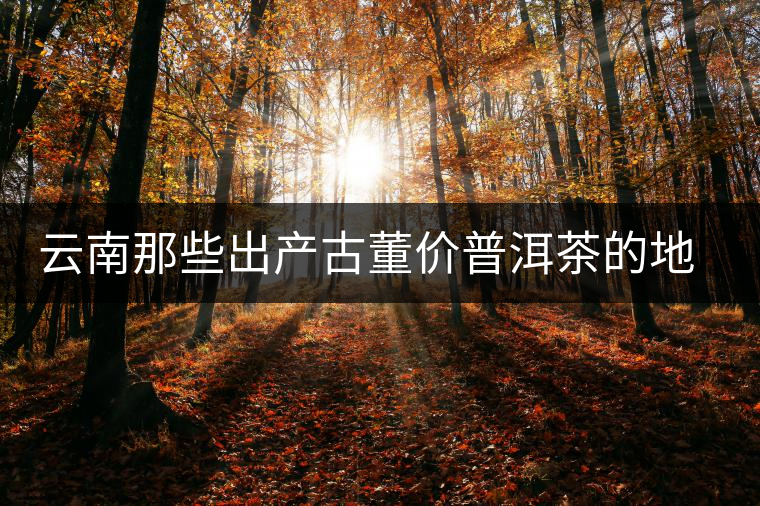 云南那些出產(chǎn)古董價(jià)普洱茶的地方，風(fēng)景如畫！