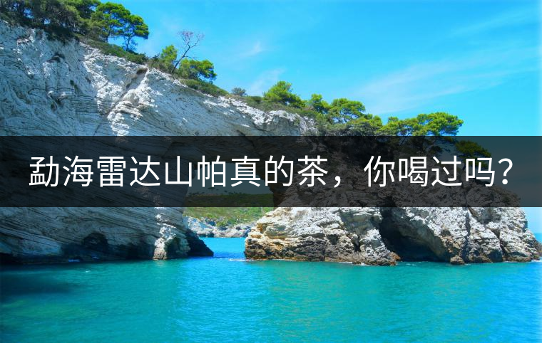 勐海雷達山帕真的茶，你喝過嗎？