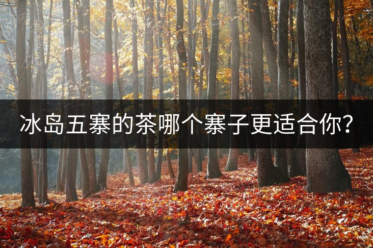 冰島五寨的茶哪個(gè)寨子更適合你？