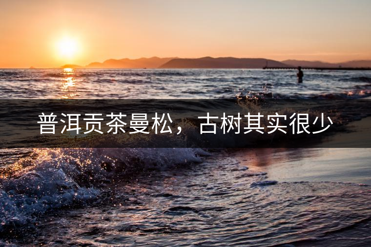 普洱貢茶曼松，古樹其實很少