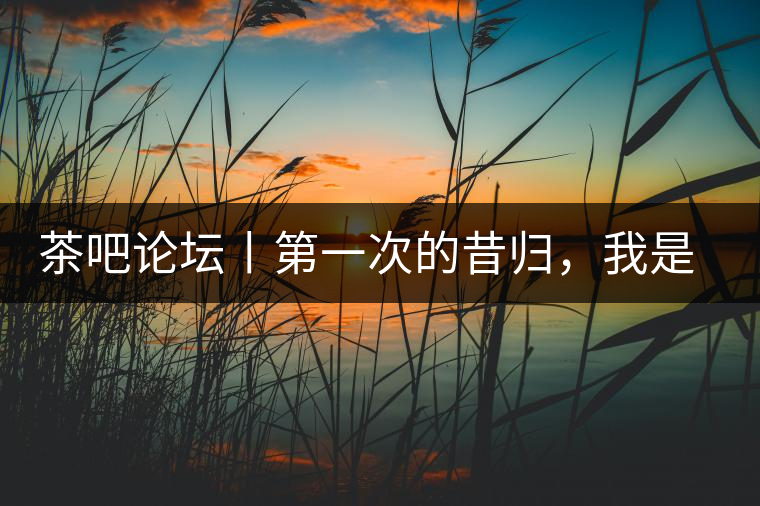 茶吧論壇丨第一次的昔歸，我是這樣喝到的