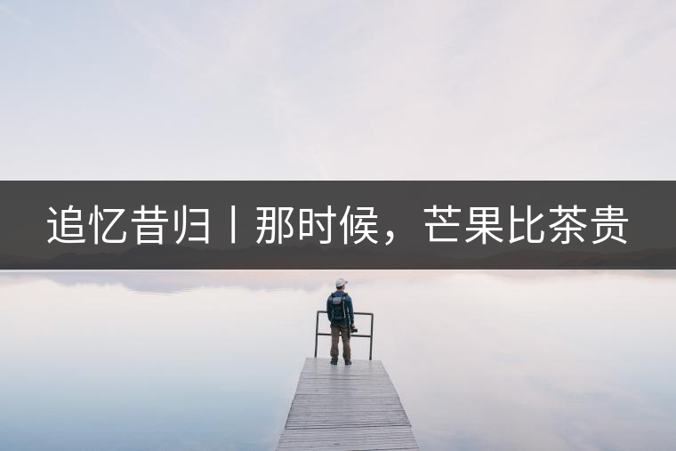 追憶昔歸丨那時候，芒果比茶貴