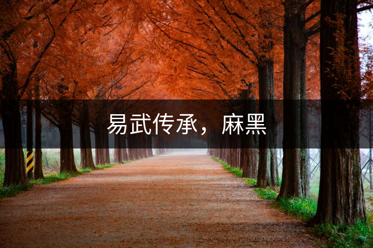 易武傳承，麻黑