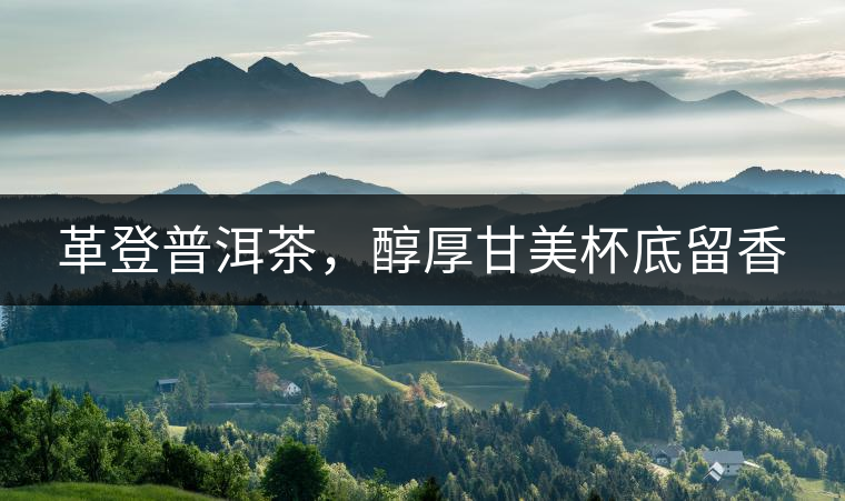 革登普洱茶，醇厚甘美杯底留香