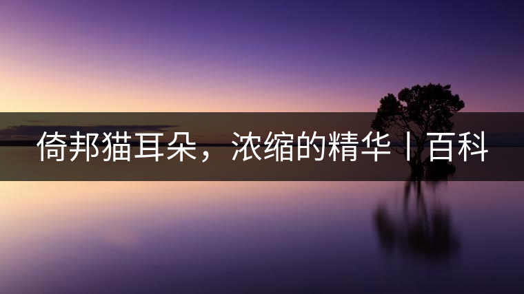 倚邦貓耳朵，濃縮的精華丨百科