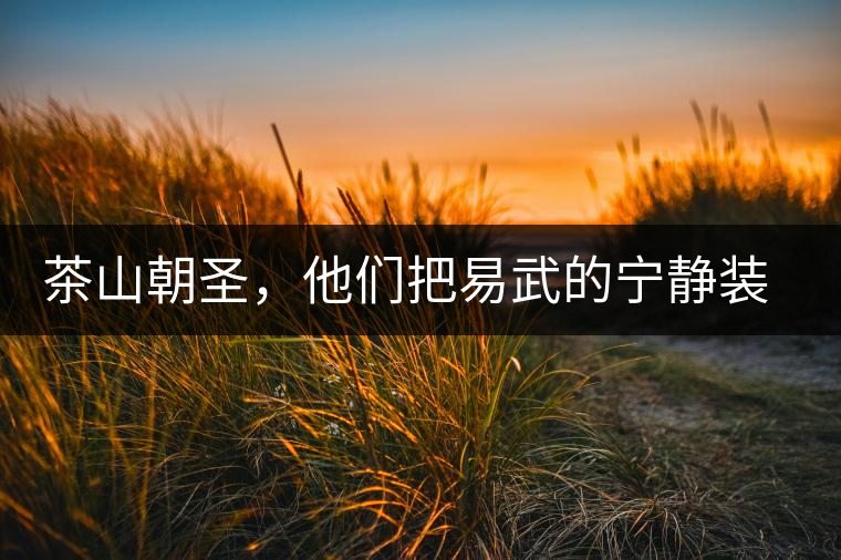 茶山朝圣，他們把易武的寧靜裝進心里，卻把成堆垃圾留在