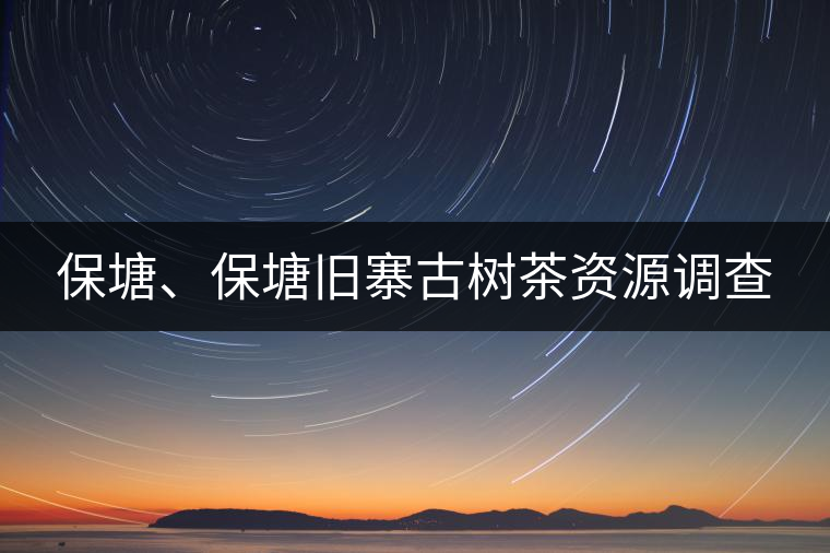 保塘、保塘舊寨古樹茶資源調(diào)查