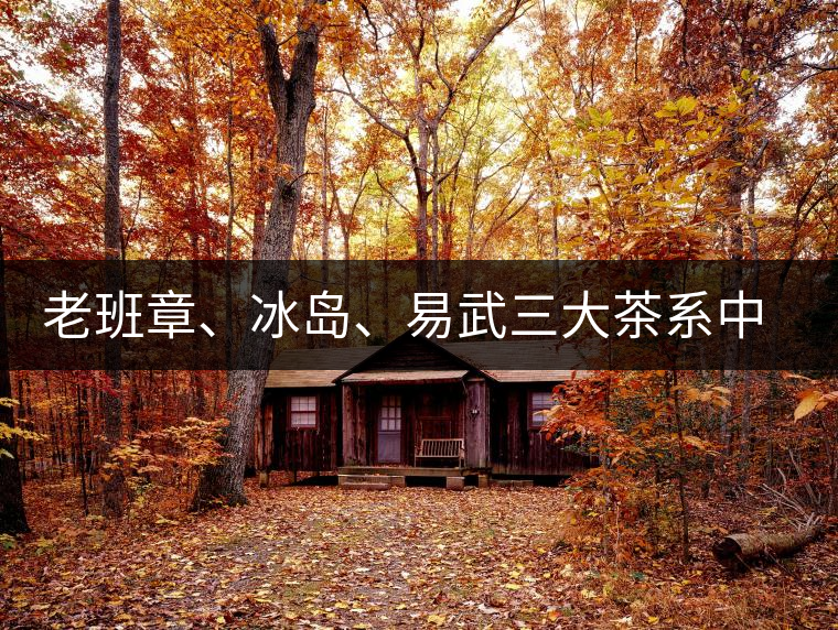老班章、冰島、易武三大茶系中，“潛力股”為何是易武？