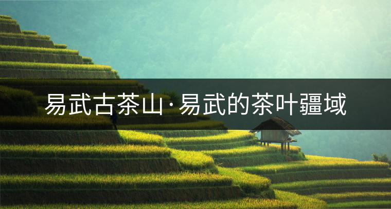 易武古茶山·易武的茶葉疆域 易武古茶山·易武的茶葉疆域