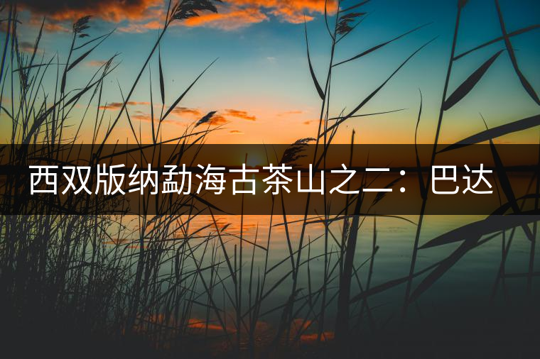 西雙版納勐海古茶山之二：巴達古茶山