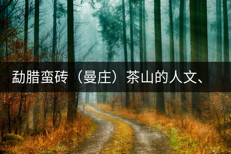 勐臘蠻磚（曼莊）茶山的人文、生態(tài)