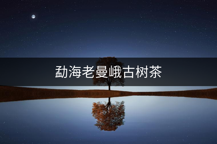 勐海老曼峨古樹茶