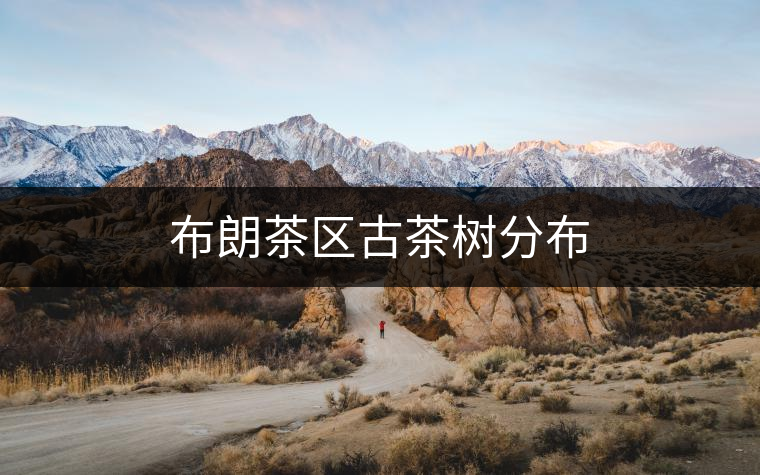 布朗茶區(qū)古茶樹(shù)分布