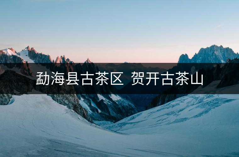 勐海縣古茶區(qū)  賀開古茶山