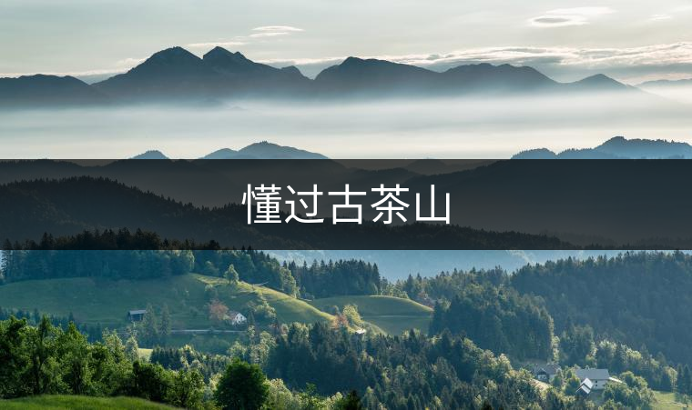 懂過古茶山