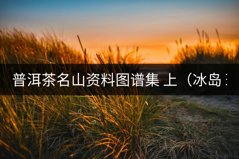 普洱茶名山資料圖譜集 上（冰島 班章 班盆 曼峨）