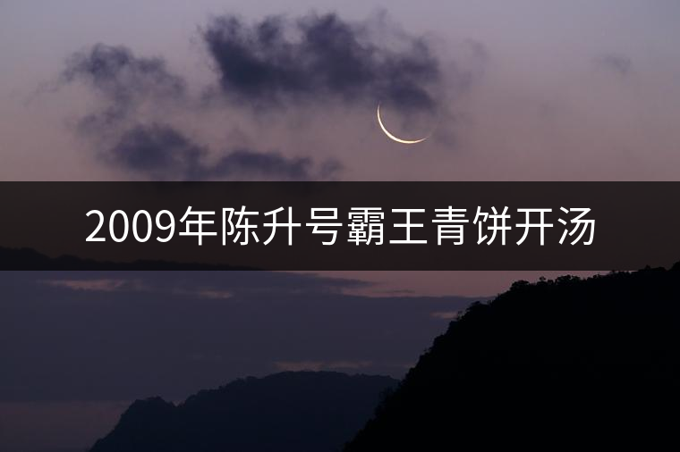 2009年陳升號(hào)霸王青餅開(kāi)湯