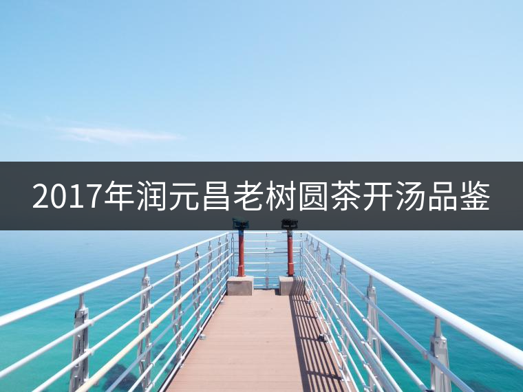 2017年潤元昌老樹圓茶開湯品鑒 2017年潤元昌老樹圓茶開湯品鑒