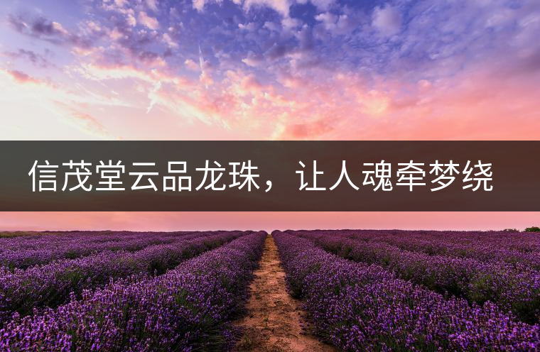 信茂堂云品龍珠，讓人魂牽夢繞的尤物