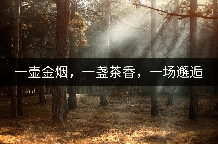 一壺金煙，一盞茶香，一場(chǎng)邂逅