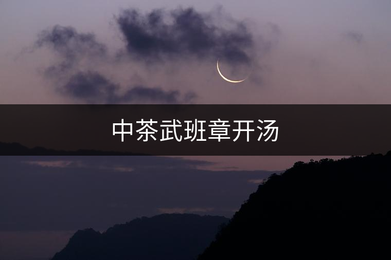中茶武班章開(kāi)湯