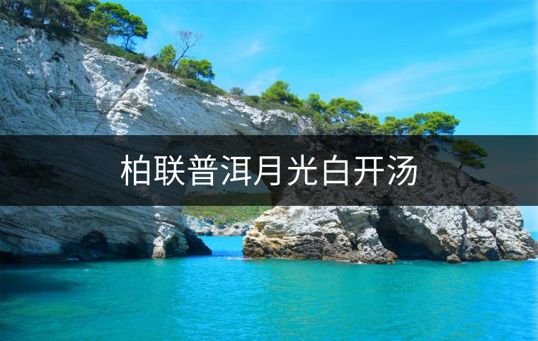 柏聯普洱月光白開湯 柏聯普洱月光白開湯