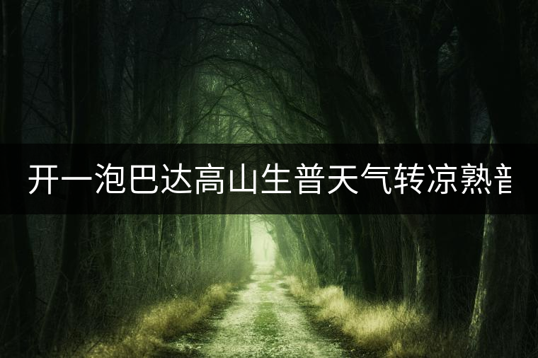 開一泡巴達高山生普天氣轉涼熟普又喝不慣，找到了這款2014巴達