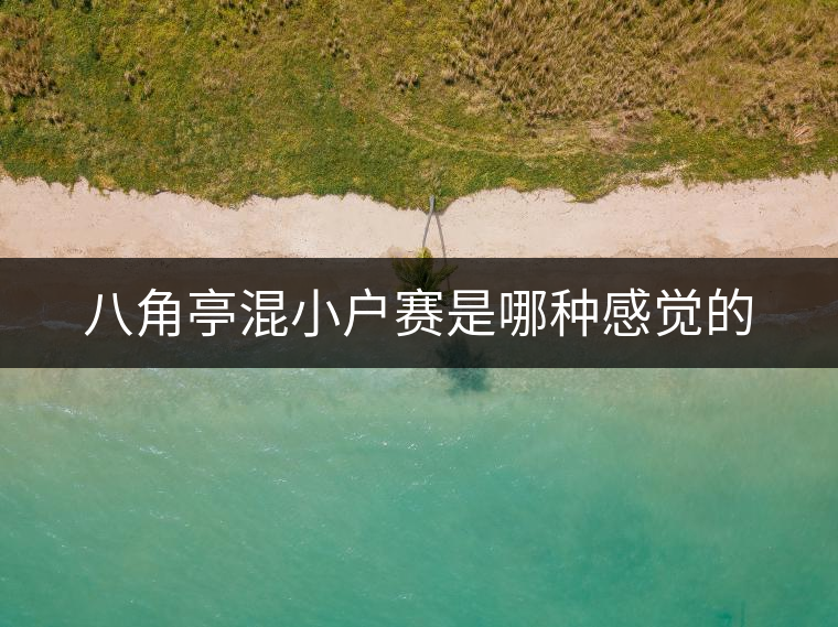 八角亭混小戶賽是哪種感覺的 八角亭混小戶賽是哪種感覺的