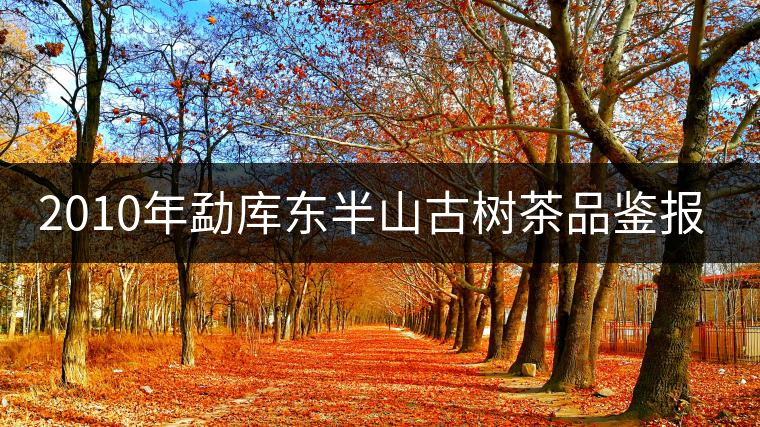 2010年勐庫(kù)東半山古樹(shù)茶品鑒報(bào)告