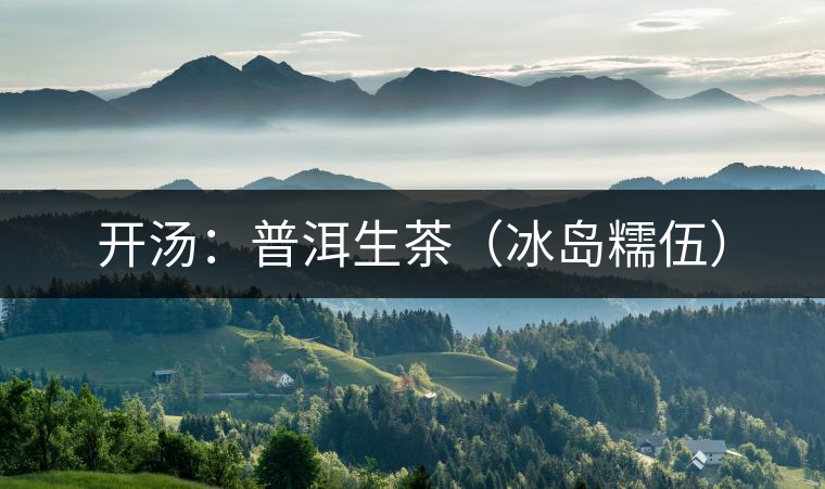 開(kāi)湯：普洱生茶（冰島糯伍）