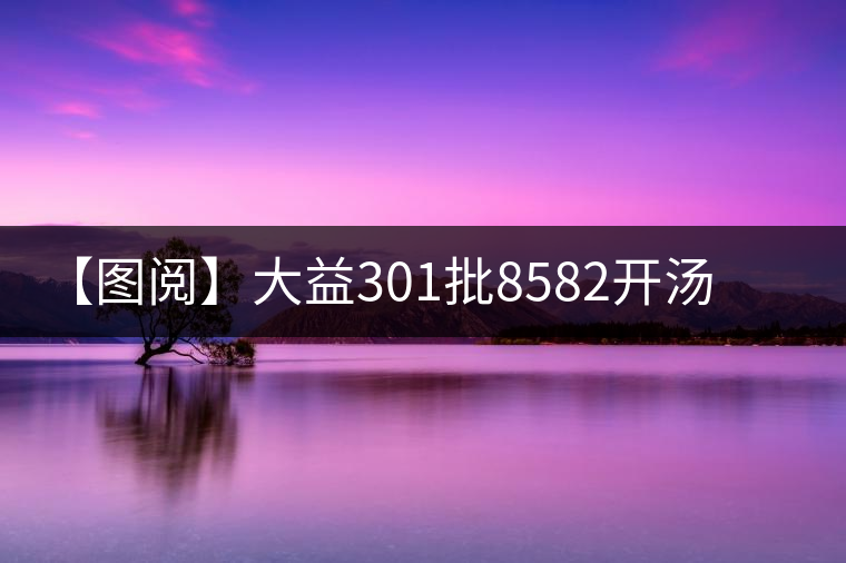 【圖閱】大益301批8582開(kāi)湯鑒賞