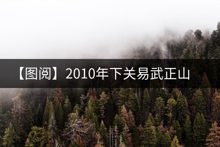 【圖閱】2010年下關(guān)易武正山老樹沱茶開湯