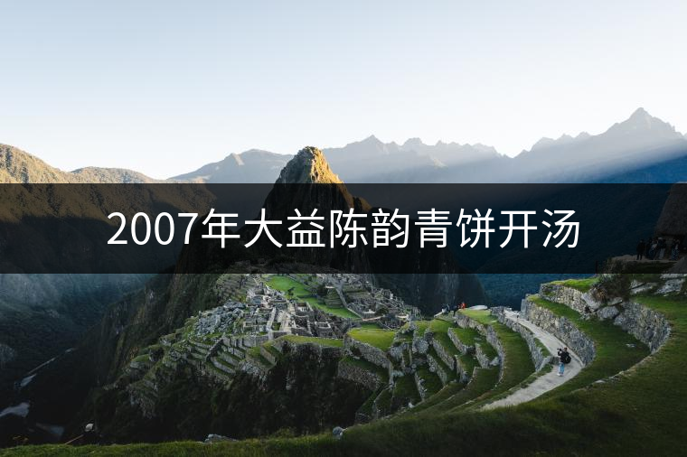 2007年大益陳韻青餅開(kāi)湯 2007年大益陳韻青餅開(kāi)湯